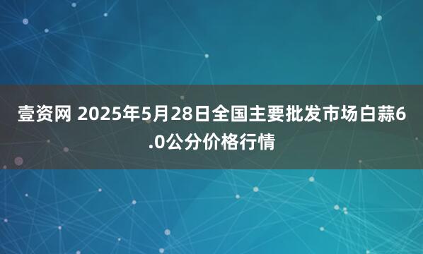 壹资网 2025年5月28日全国主要批发市场白蒜6.0公分价格行情