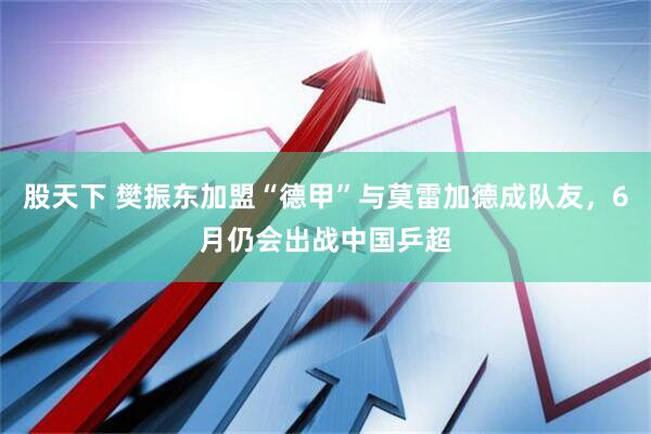 股天下 樊振东加盟“德甲”与莫雷加德成队友，6月仍会出战中国乒超