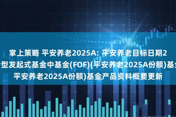 掌上策略 平安养老2025A: 平安养老目标日期2025一年持有期混合型发起式基金中基金(FOF)(平安养老2025A份额)基金产品资料概要更新