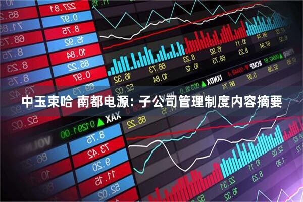 中玉束哈 南都电源: 子公司管理制度内容摘要
