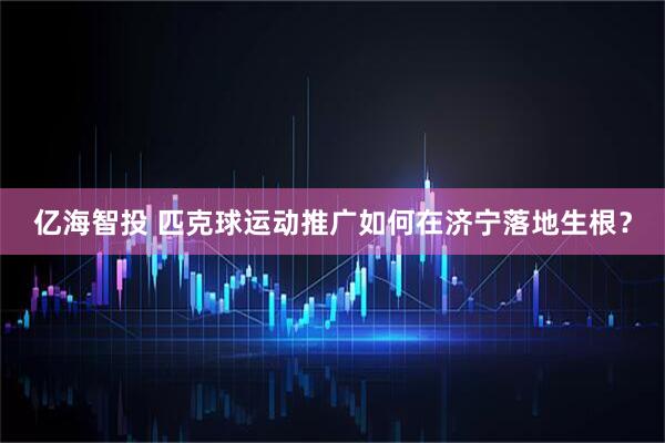 亿海智投 匹克球运动推广如何在济宁落地生根？
