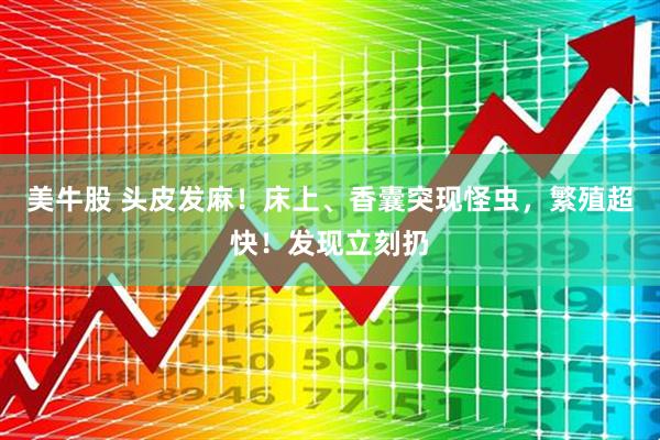 美牛股 头皮发麻！床上、香囊突现怪虫，繁殖超快！发现立刻扔