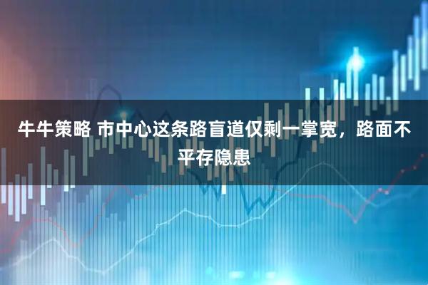 牛牛策略 市中心这条路盲道仅剩一掌宽，路面不平存隐患