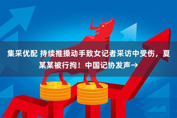 集采优配 持续推搡动手致女记者采访中受伤，夏某某被行拘！中国记协发声→