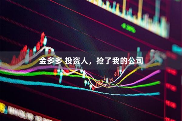金多多 投资人，抢了我的公司