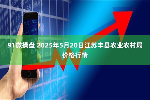 91微操盘 2025年5月20日江苏丰县农业农村局价格行情