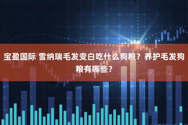宝盈国际 雪纳瑞毛发变白吃什么狗粮？养护毛发狗粮有哪些？