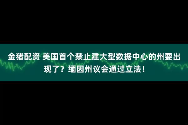 金猪配资 美国首个禁止建大型数据中心的州要出现了？缅因州议会通过立法！